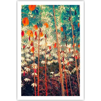 Obraz Obraz plakát do obýváku ložnice 61x91 les příroda plakáty na zeď bez rámu