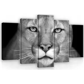 Obraz OBRAZ NA PLÁTNĚ CANVAS 100x60 LVICE LEV PUMA KOČKA
