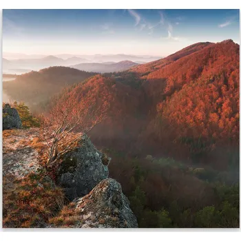 Kuchyňské prkénko Skleněná Ochranná Deska a Krájecí Prkénko | Indukce, Sporák ds-0112