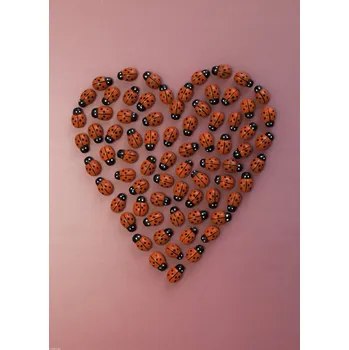 Obraz Plakát Srdce z berušek na růžovém pozadí, bez rámu, 39,5 x 55 cm