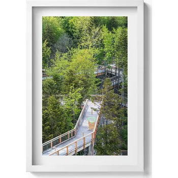 Obraz Obraz v bílém rámu dekorace na zeď Cesta v Krynici Zdroji 40x60 cm