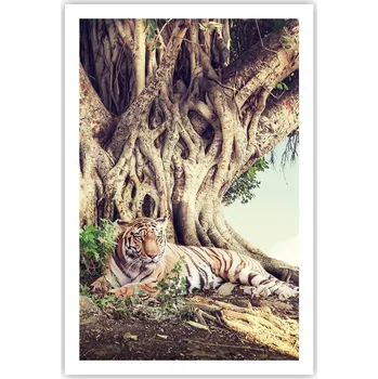 Obraz Obraz plakát do obýváku ložnice 61x91 tygr plakáty na zeď bez rámu