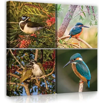 Obraz OBRAZ NA PLÁTNĚ CANVAS 50x50 PTÁCI PŘÍRODA