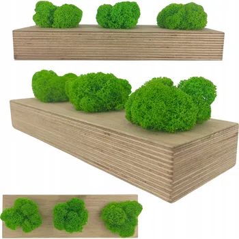 Obraz Dekorace z mechu chrobotka ve formě dřevěné destičky z vrstveného dřeva