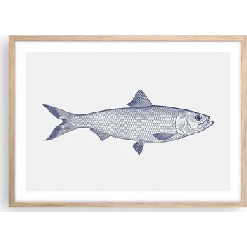 Obraz Plakát v rámu světlý dub do obýváku ložnice 70x50 ryba moderní obraz