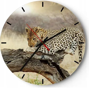 Hodiny Nástěnné hodiny do kuchyně 30x30 Zvířata Skleněné hodiny do obýváku Tiché