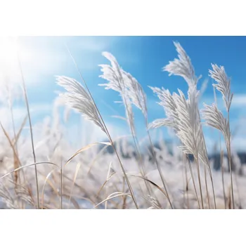Plakát Plakát Šumění v trávě bez rámu 29,7 x 21 cm