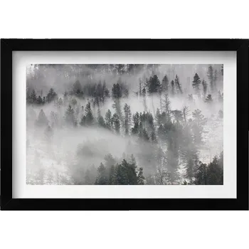 Obraz Nástěnný dekorativní foto obraz v černém rámu Krajina mlhavý les 30x20 cm