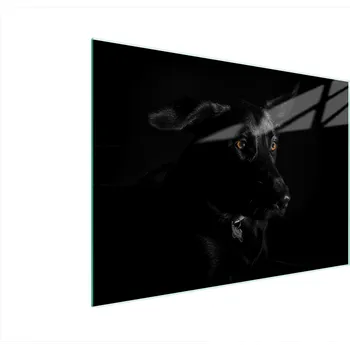 Kuchyňské prkénko Krájecí deska TMK ArtDeko sklo 1 ks