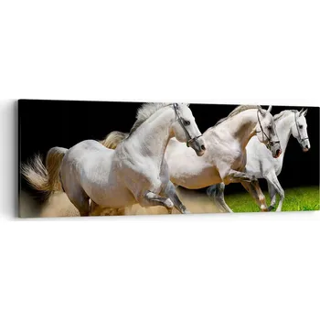 Obraz Obraz na plátně do obýváku ložnice 90x30 koně foto obrazy na zeď