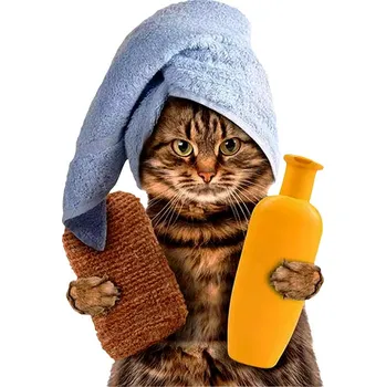 Samolepicí dekorace na vozidlo Barevná NÁLEPKA na auto, vtipná samolepka KOTĚ v ručníku, sprcha, 15x10 cm