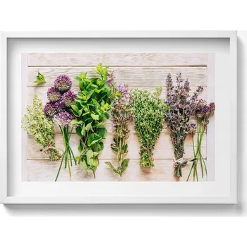 Obraz Dekorace, obraz s grafikou v krásném rámu - Rostliny a bylinky na prknech, 70x50 cm