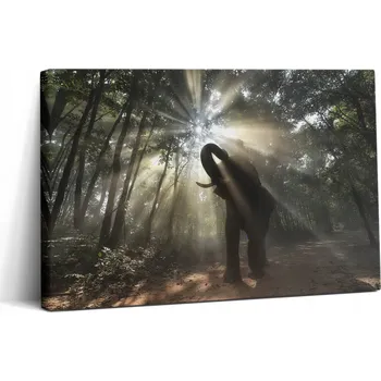 Obraz Fotoobraz do jídelny - Inspirace na Dárek - Slon v džungli 30x20 cm