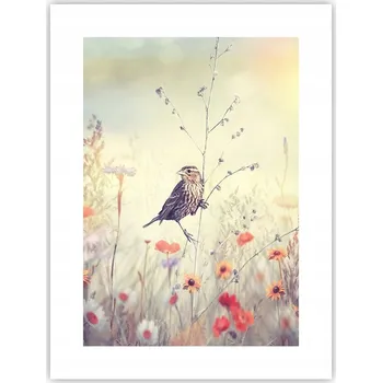 Obraz Obraz plakát do obýváku nebo ložnice 30x40 cm - pták, foto plakáty na zeď, bez rámu