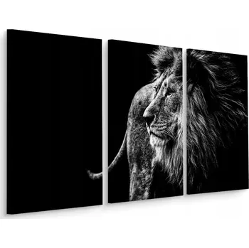 Obraz Obraz Triptych Majestátní LEV Zvíře 3D 60x40
