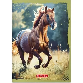 Sešit Sešit A5 s linkami Herlitz, 32 listů