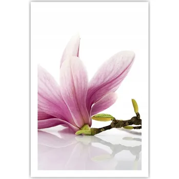 Obraz Obraz plakát do obýváku ložnice 61x91 květinový foto plakát na zeď bez rámu