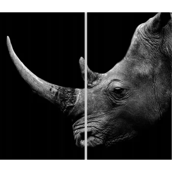 Obraz Skleněná Ochranná Deska a Krájecí Prkénko | Indukce, Sporák ds-0136