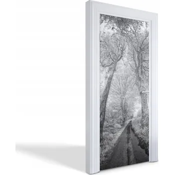 Fototapeta Samolepicí samolepící na dveře a nábytek Lesní cesta 85 x 205 cm