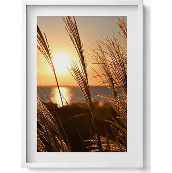 Obraz Dekorativní nástěnný obraz v bílém rámu s fotografií Pšenice 50x70 cm