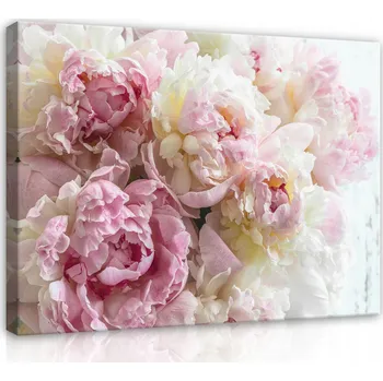 Obraz Obraz Pivoňky NA PLÁTNĚ Květiny Do Ložnice 100x70