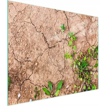 Kuchyňské prkénko Krájecí deska TMK ArtDeko sklo 1 ks