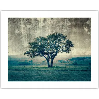 Obraz Obraz plakát na zeď bez rámu 50x40 krajina foto obývák ložnice