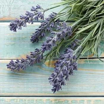 Papírový ubrousek Papírový ubrousek čtvercový 33 cm x 33 cm