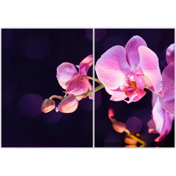 Kuchyňské prkénko Skleněná Ochranná Deska a Krájecí Prkénko | Indukce, Sporák ds-0034