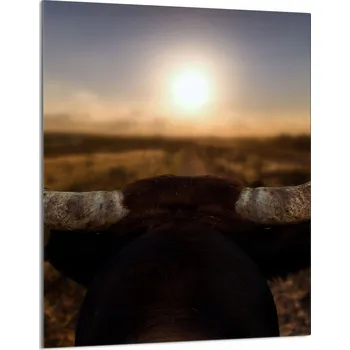 Kuchyňské prkénko Krájecí deska TMK ArtDeko sklo 1 ks