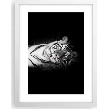 Obraz Obraz plakát v bílém rámu do obýváku 30x40 bílý tygr plakáty na zeď