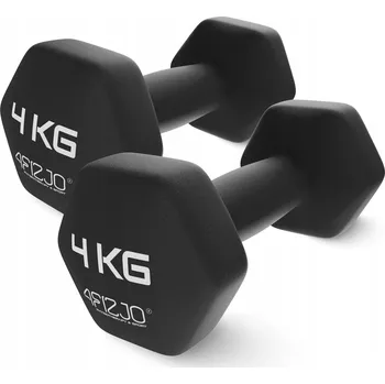 Činky pro cvičení CLASSIC litinové závaží 2 x 4 kg vinylové 4FIZJO 2 ks