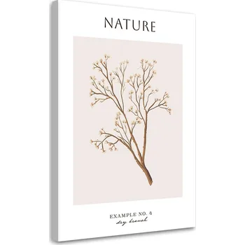 Obraz OBRAZ DO LOŽNICE Suchá větvička - Příroda NA PLÁTNĚ 60x90