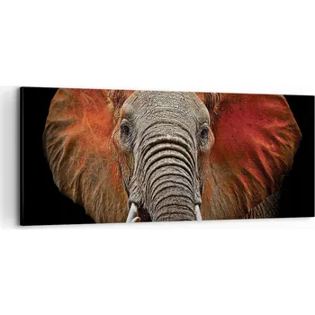 Obraz Foto obraz na plátně canvas 100x40 slon obývák ložnice na zeď velký