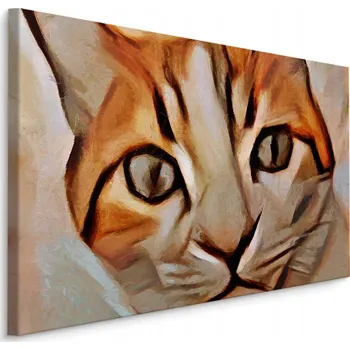 Obraz Obraz do Kanceláře Hlava Kočky Abstrakce Dekorace 30x20