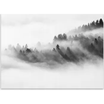 Obraz Skleněná Ochranná Deska a Krájecí Prkénko | Indukce, Sporák ds-0398