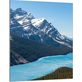 Kuchyňské prkénko Krájecí deska TMK ArtDeko sklo 1 ks