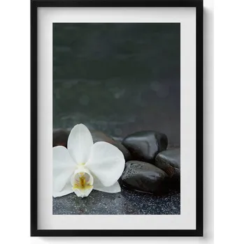 Obraz Závěsný obraz na zeď dekorace do bytu Bílý květ kameny Zen 50x70 cm