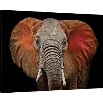 Obraz Obraz na plátně do obýváku ložnice 70x50 slunce foto obrazy na zeď canvas