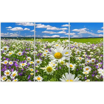 Kuchyňské prkénko Skleněná Ochranná Deska a Krájecí Prkénko | Indukce, Sporák ds-0514