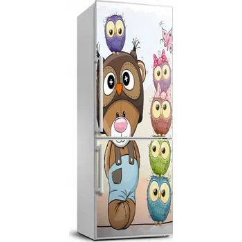 Fototapeta Foto Samolepka na ledničku na zeď - Medvídek a sovy