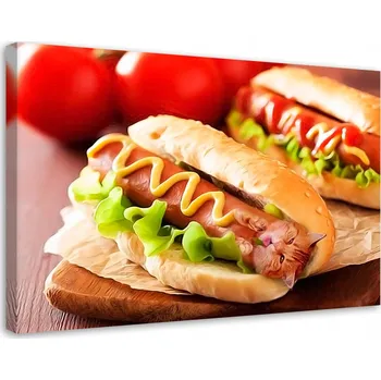 Obraz Obraz na plátně Canvas Hot-Dog Kočka Jídlo 60x40