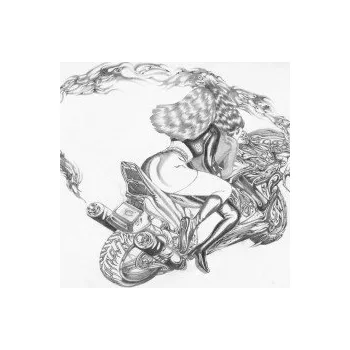 Zahraniční hudba Lust for Life,Or:'How To Thread The Needle... / Vinyl - Courting [LP]