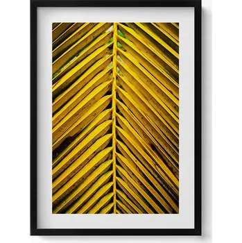 Obraz Dekorativní nástěnný obraz s černým rámem a grafikou loft - Listy rostliny 50x70 cm