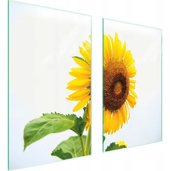 Obraz Krájecí deska TMK ArtDeko sklo 2 ks