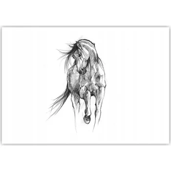 Obraz Plakát na zeď bez rámu 100x70 kůň foto-obraz plakáty do obývacího pokoje ložnice
