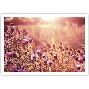 Obraz Plakát na zeď bez rámu 100x70 louka foto-obraz plakáty do obývacího pokoje ložnice