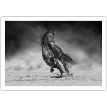 Obraz Plakát na zeď bez rámu 100x70 kůň foto-obraz plakáty do obývacího pokoje ložnice