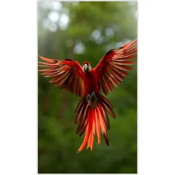 Kuchyňské prkénko Skleněná Ochranná Deska a Krájecí Prkénko | Indukce, Sporák ds-0530