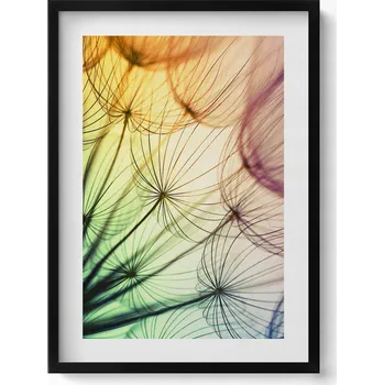 Obraz Dekorace, obraz s grafikou v krásném rámu - Jemné chmýří pampelišky 50x70 cm